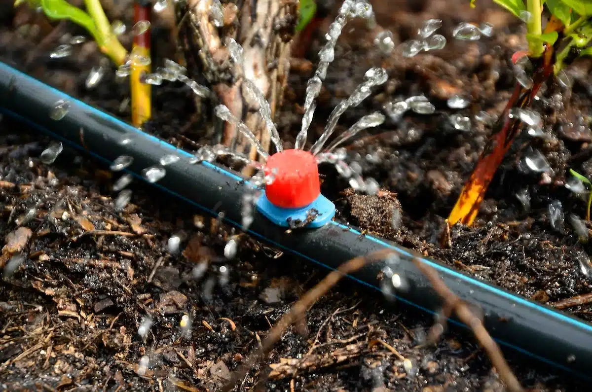 Drip Irrigation: Explained